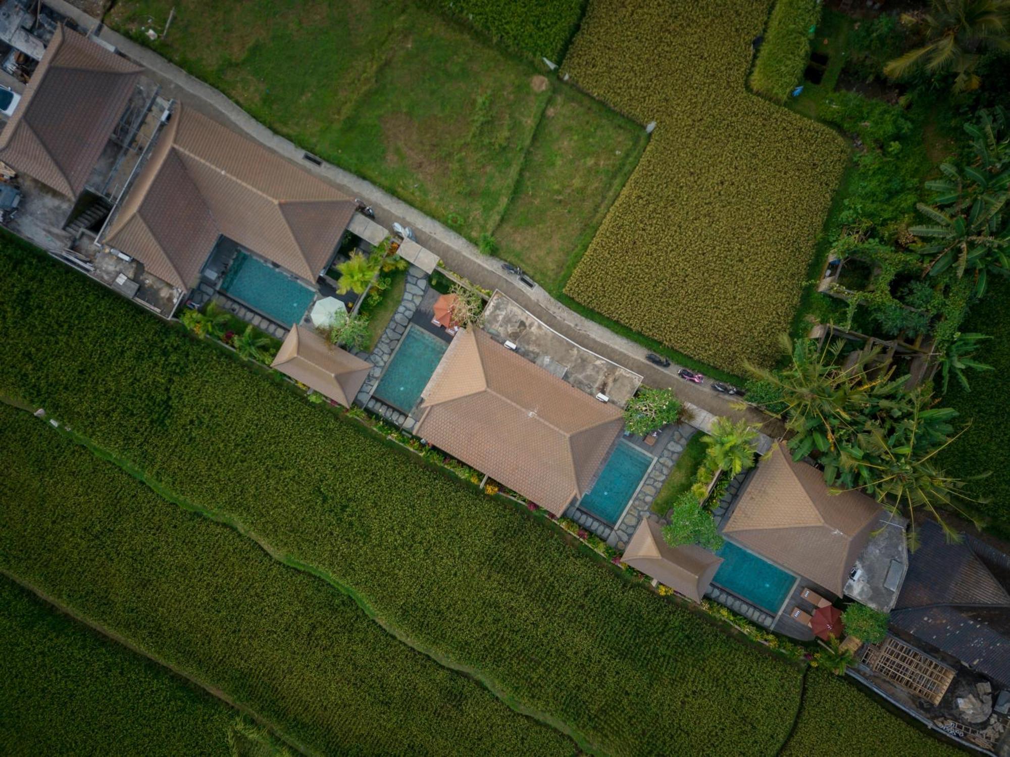 Happy Honeymoon Private Villa Ουμπούντ Εξωτερικό φωτογραφία